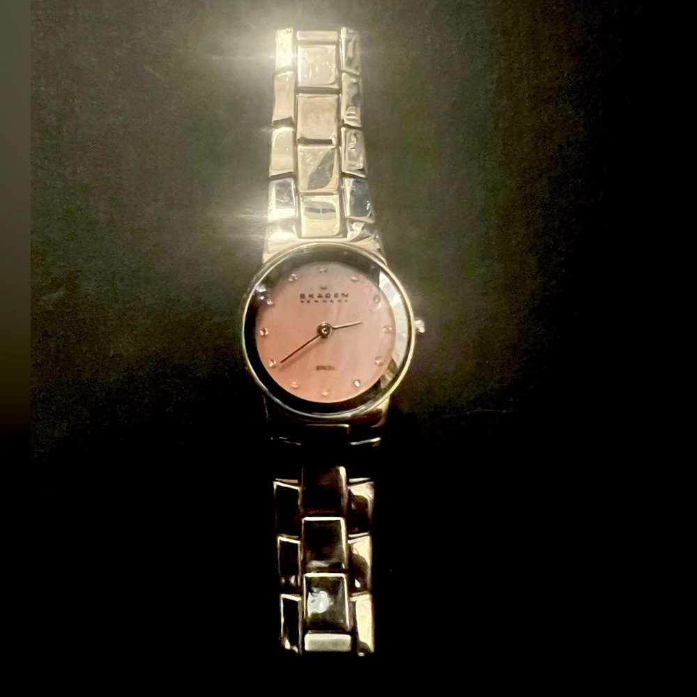 Skagen Denmark Stainless Steel watch